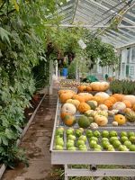 Gartenanlage am Schloss