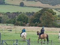 Blicke von der Abbey