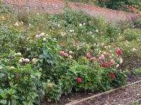 Abbotsford Wohnhaus von Sir Walter Scott