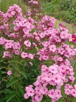 Abbotsford Wohnhaus von Sir Walter Scott