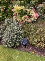 Bitte keine Pflanzen essen!