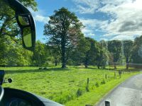 Fahrt durch den Schlosspark