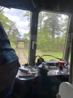 Am Fenster liegt der 