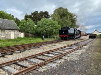 jetzt wird rückwärts gezogen!