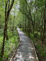 Dieser Weg führt...