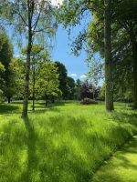 Dryburgh Abbey, Park