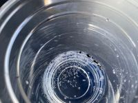 Kohlereste im Wasserbecher!