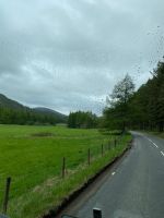 es wird wieder grüner