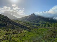 Das war aber nicht mehr unser Zug!