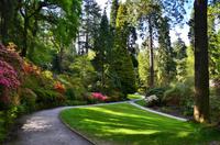 216 Bodnant Garden