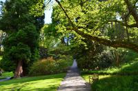 219 Bodnant Garden