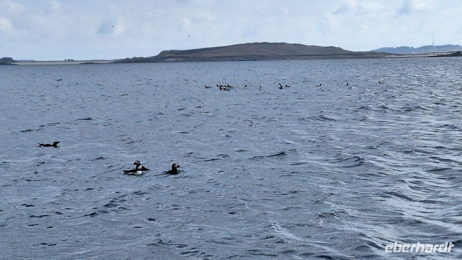 Isles of Scilly: Boot-Safari