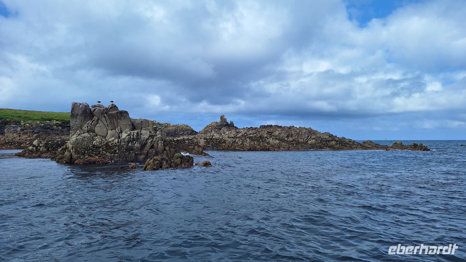 Isles of Scilly: Boot-Safari