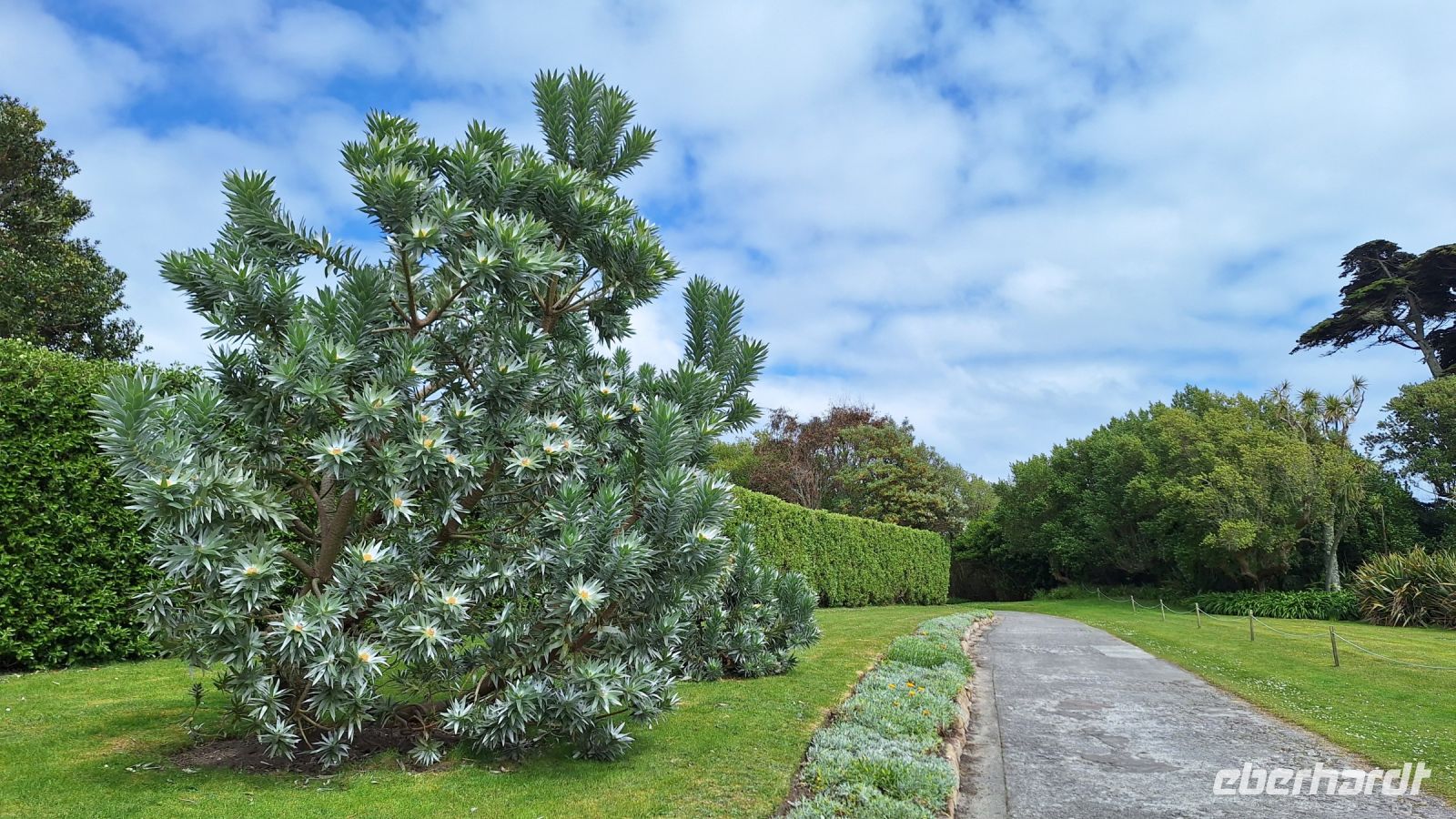 Isles of Scilly, Tresco: Tresco Abbey Gardens
