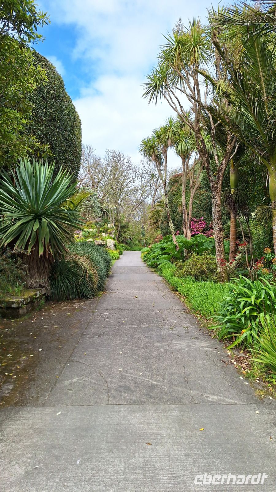 Isles of Scilly, Tresco