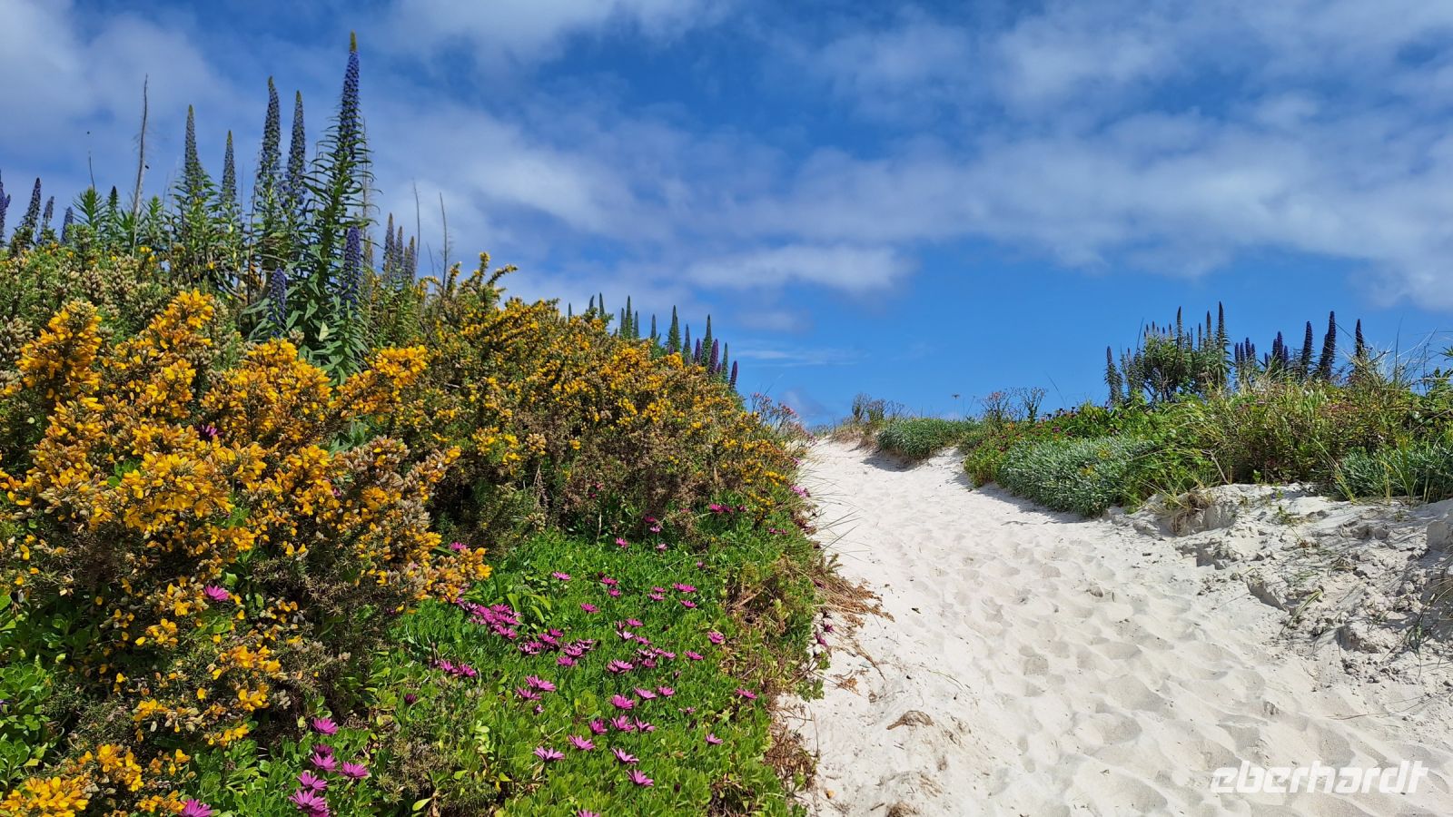 Isles of Scilly, Tresco