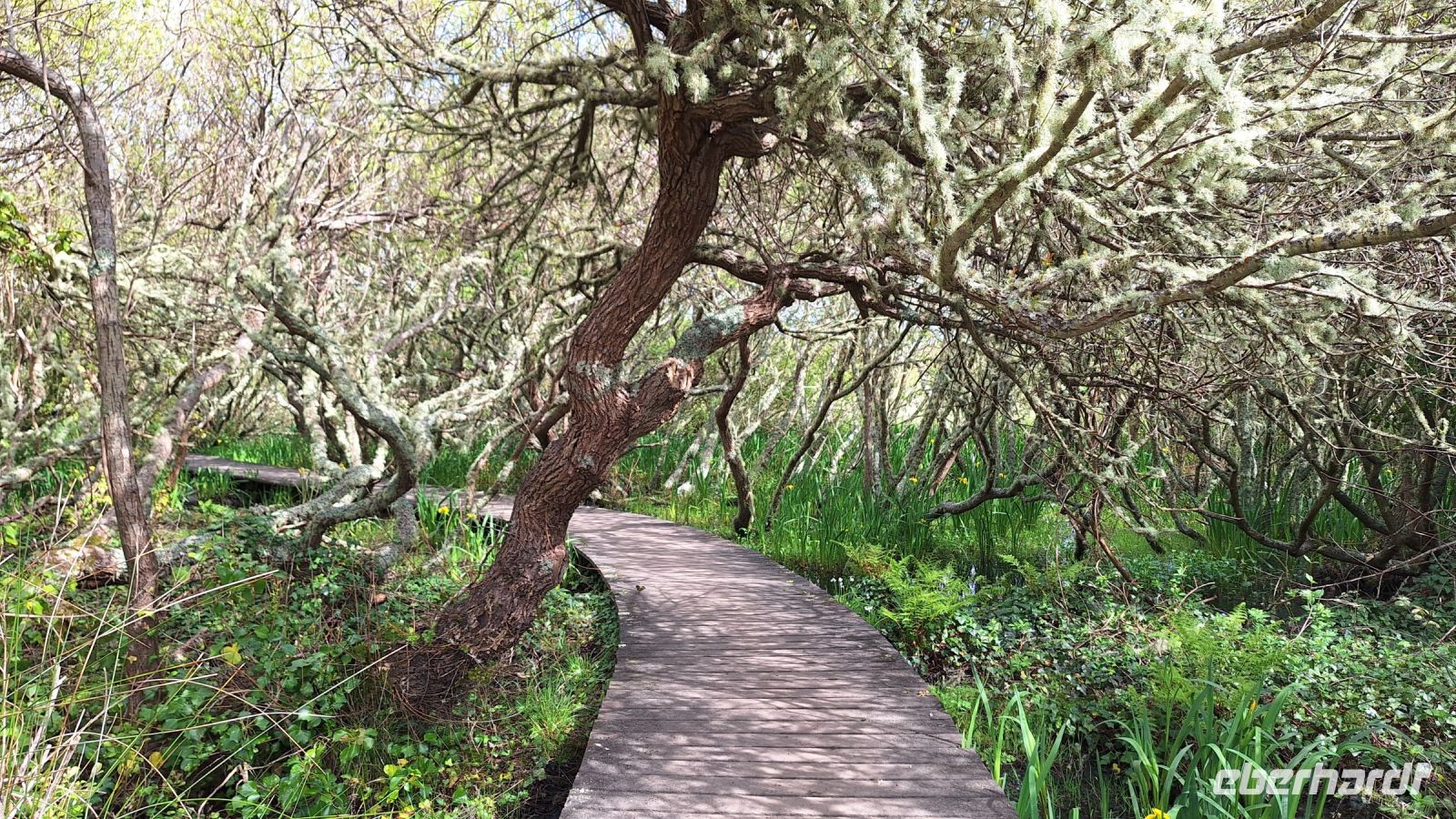 Isles of Scilly, St Mary's