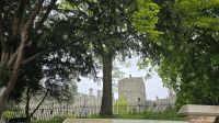 Blick zum Windsor Castle