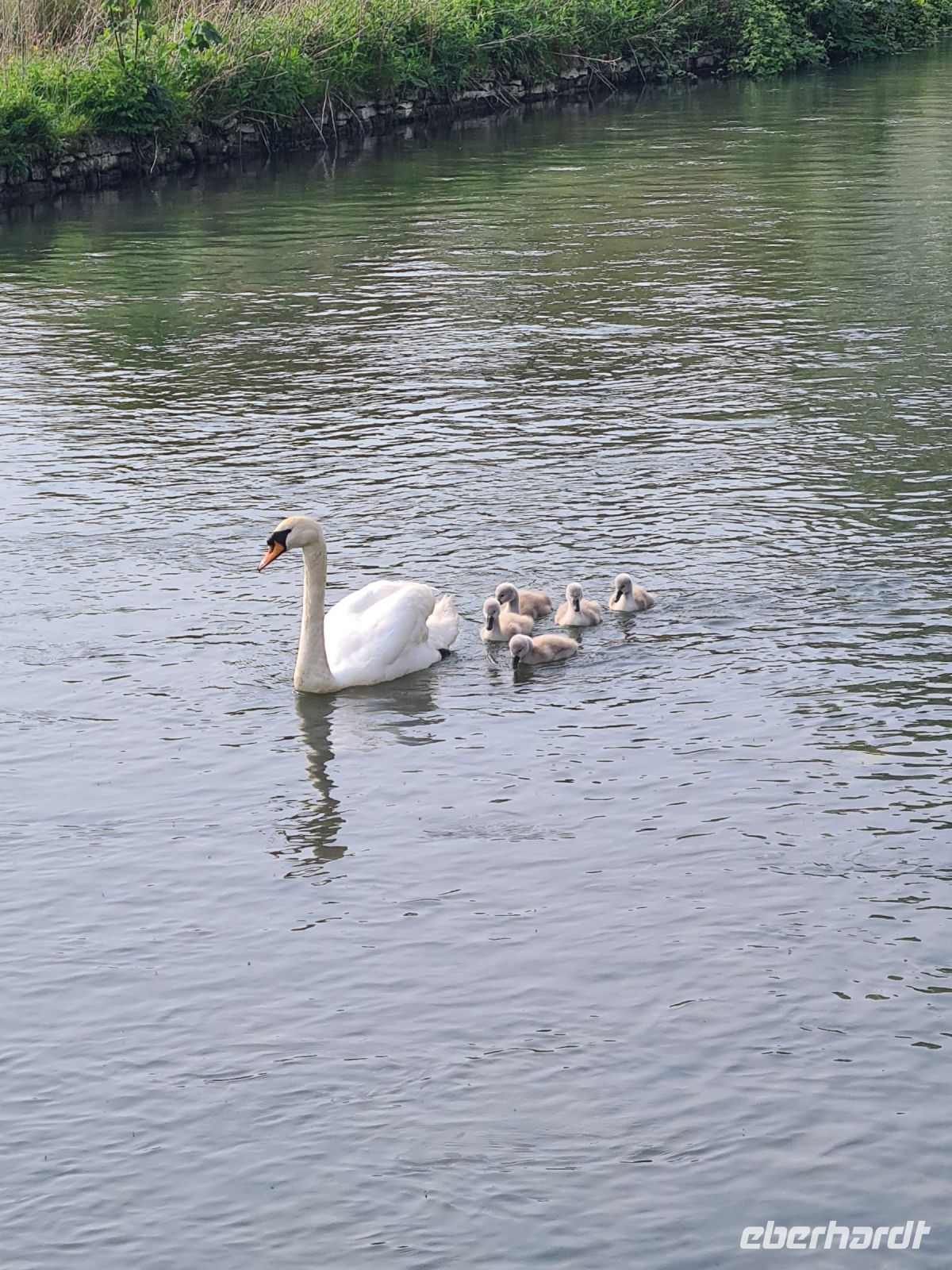 Tag 4 - Cotswolds - Bibury - Eindrücke (6).jpg