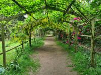 Tag 5 - Arley Arboretum - Eindrücke (5).jpg