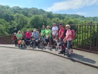 Tag 5 - Ironbridge - Eindrücke - Hunde oder Menschentreffen.jpg