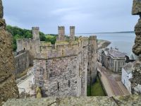 Tag 6 - Wales - Caernarfon Castle 3.jpg