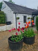 Tag 8 - Schottland - Luss am Loch Lomond.jpg