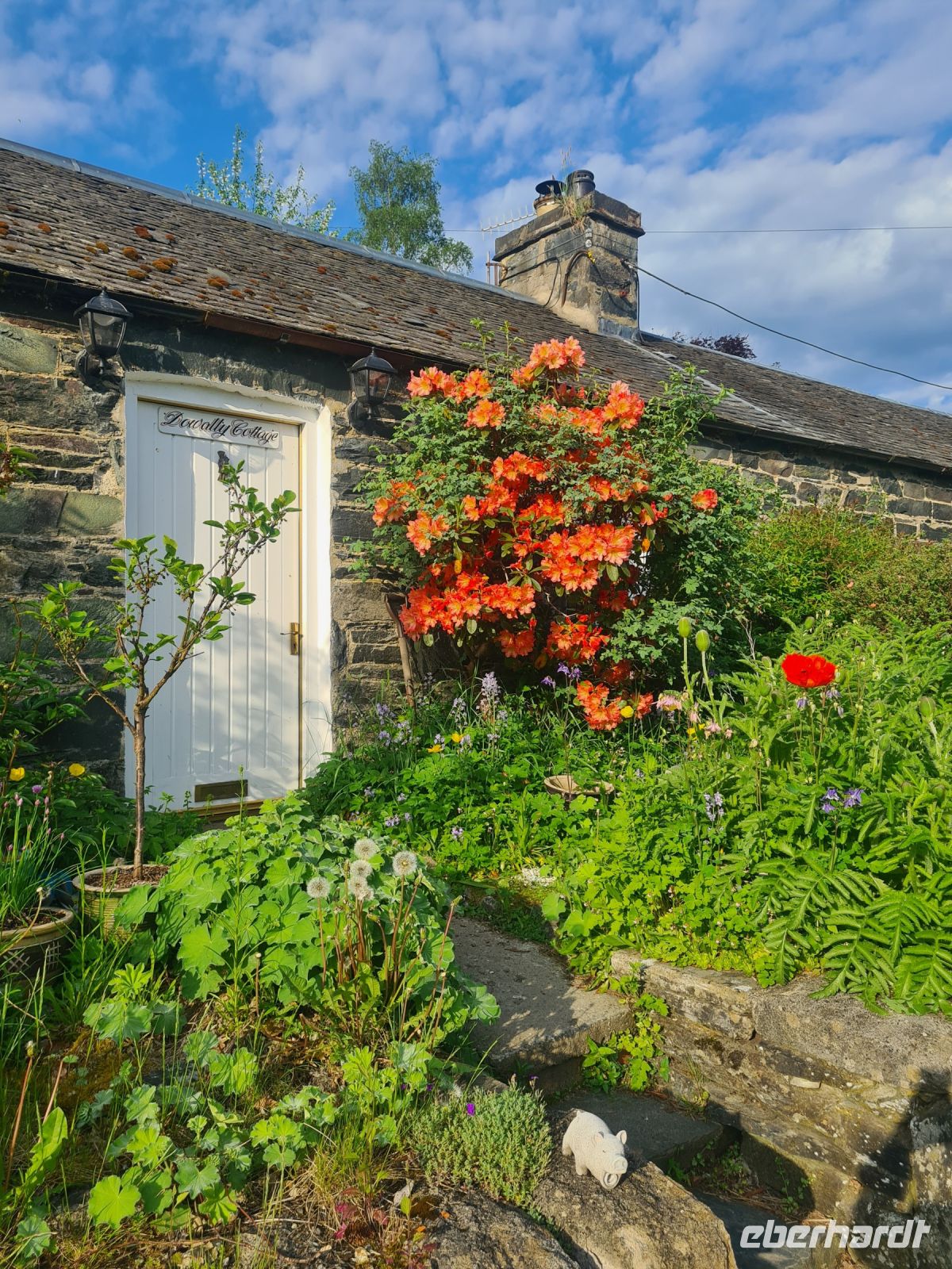 Tag 10 - Schottland - Pitlochry - Morgenspaziergang (4).jpg