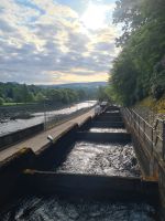 Tag 10 - Schottland - Pitlochry - Morgenspaziergang Fischtreppe.jpg