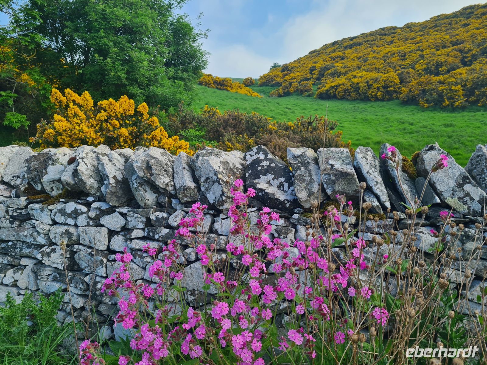 Tag 11 - Schottland - Scotts View (1).jpg