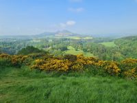 Tag 11 - Schottland - Scotts View (2).jpg