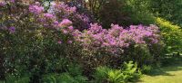 221 Inveraray Castle & Garden