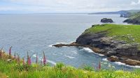 Ausblick Tintagel