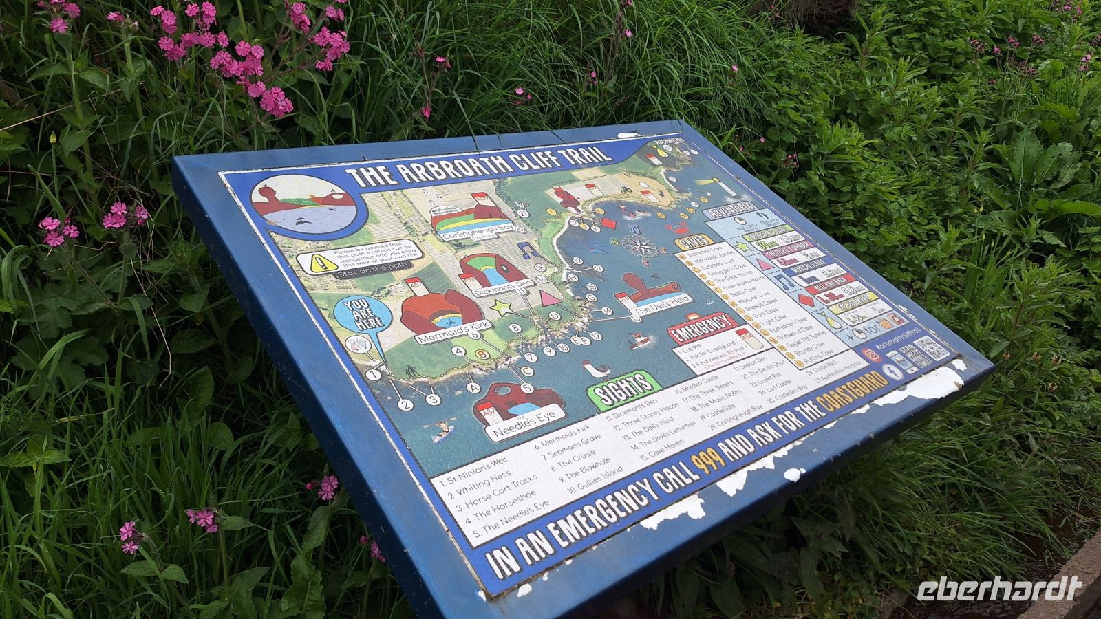 Arbroath Cliffs Trail