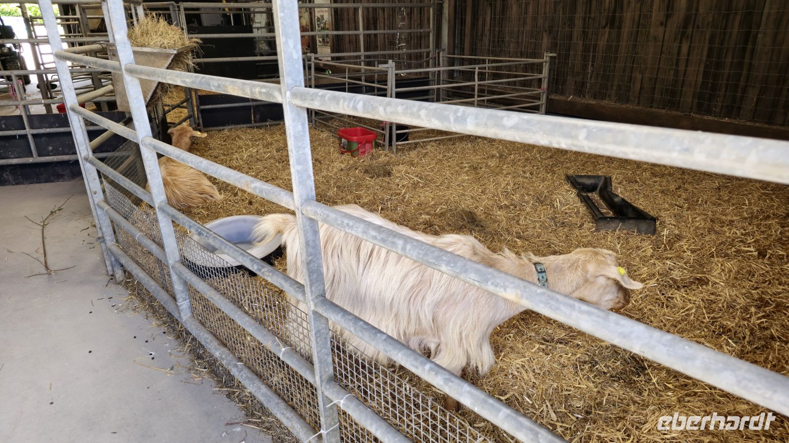Lost Gardens of Heligan