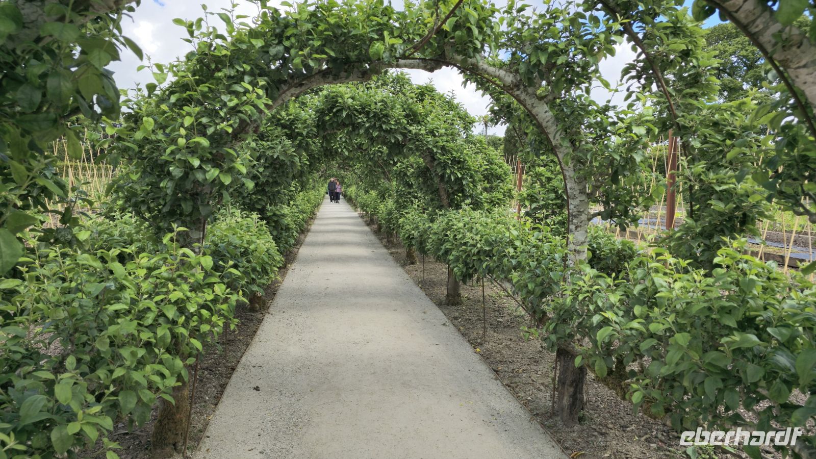 Lost Gardens of Heligan