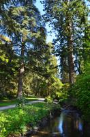 222 Bodnant Garden