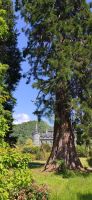222 Inveraray Castle & Garden