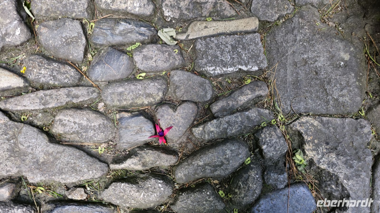 das Herz des Riesen in St. Michael Mount