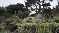 Tresco Abbeygardens