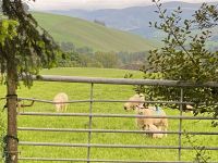 Direkt am Schlosshotel