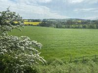 blühende Landschaften