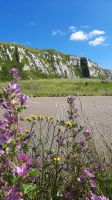 Samphire Hoe
