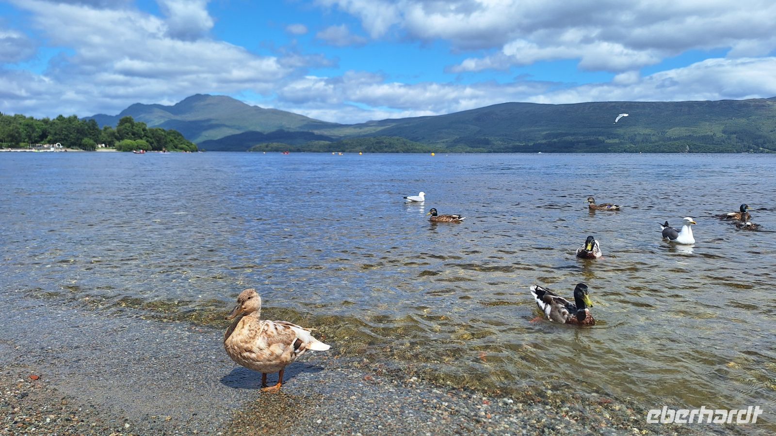Loch Lomond