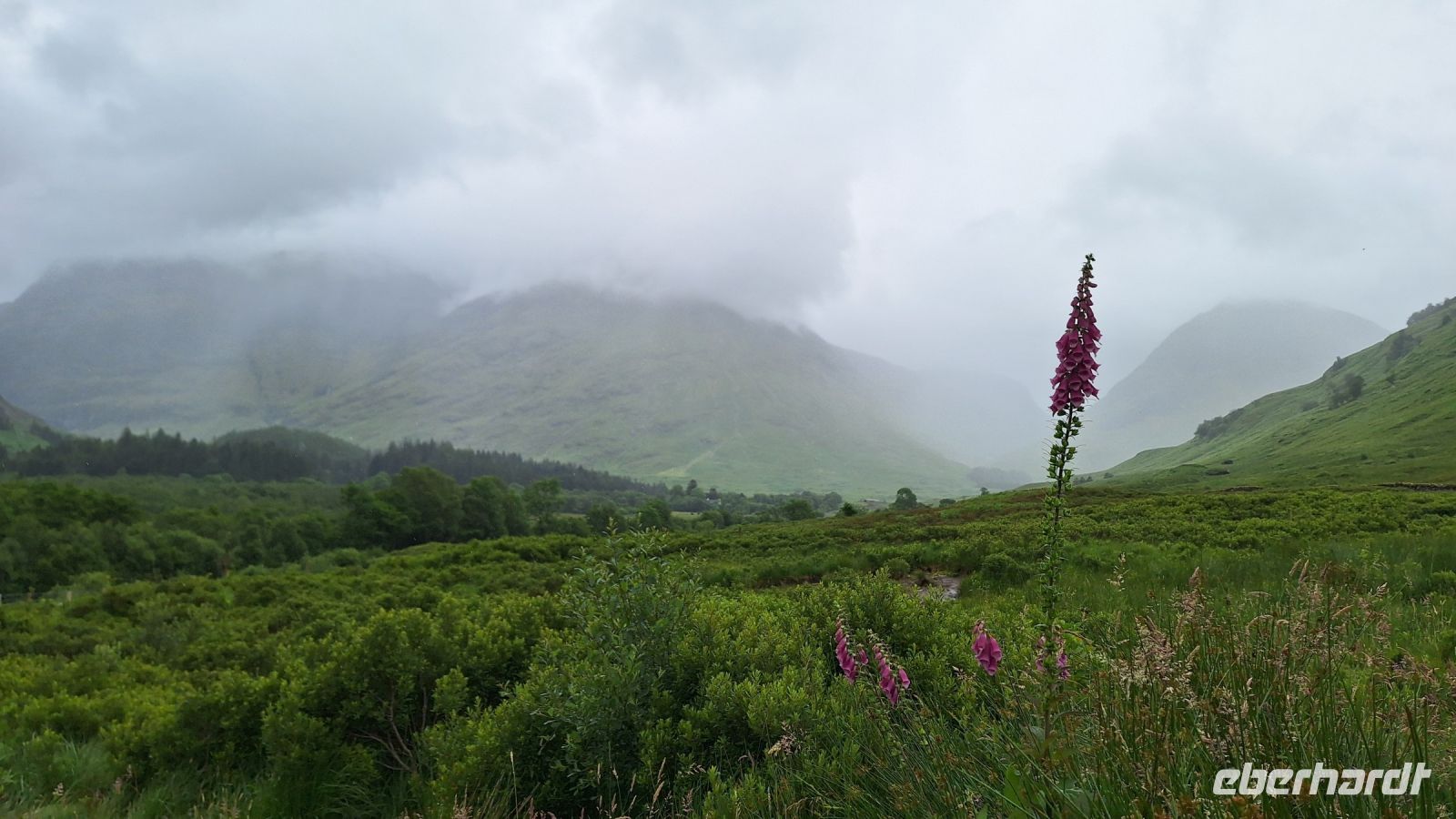 Glencoe