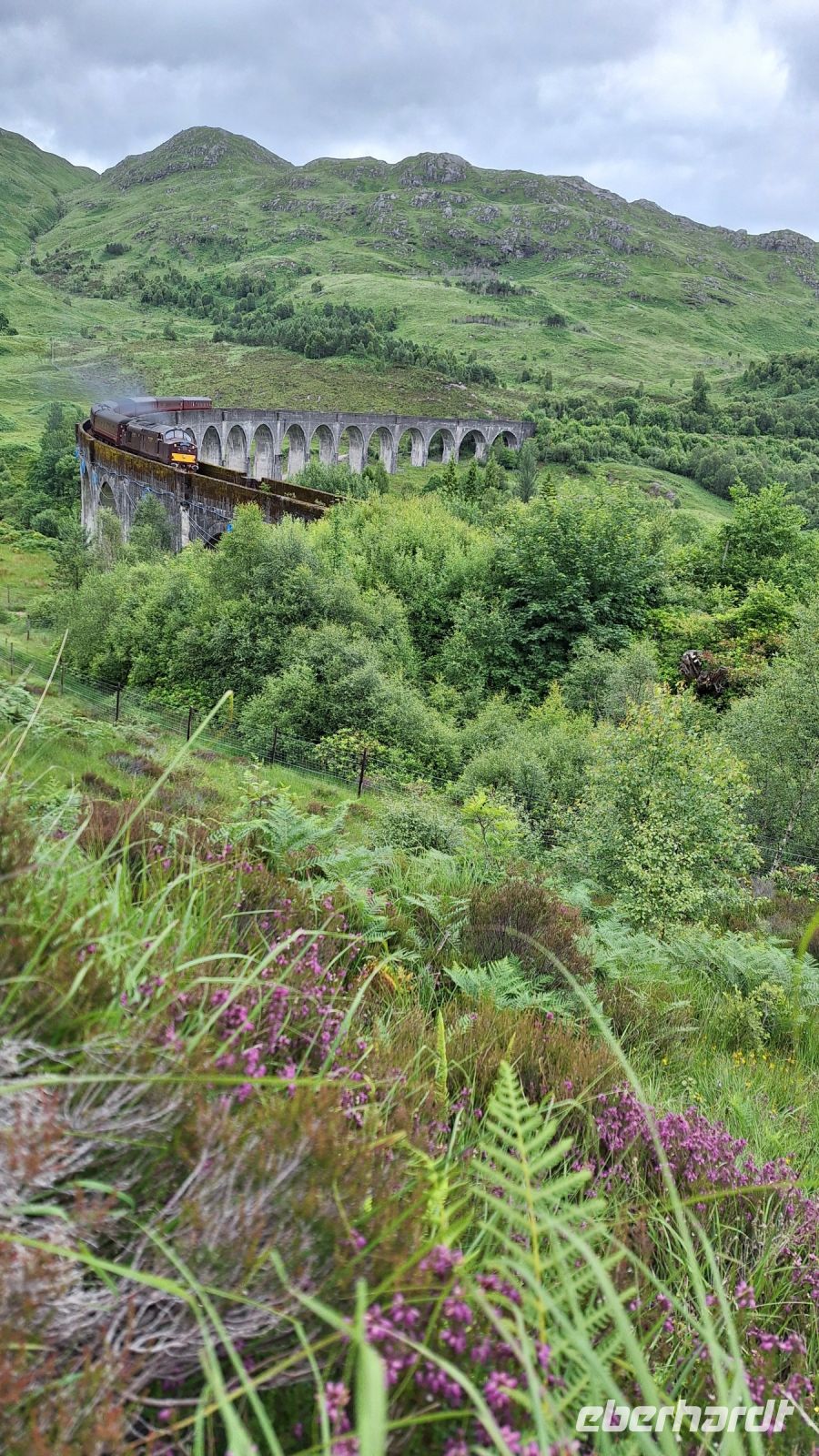 Jacobite Steam Train 