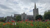 Kathedrale Dublin
