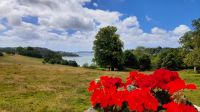 Trelissick Garden
