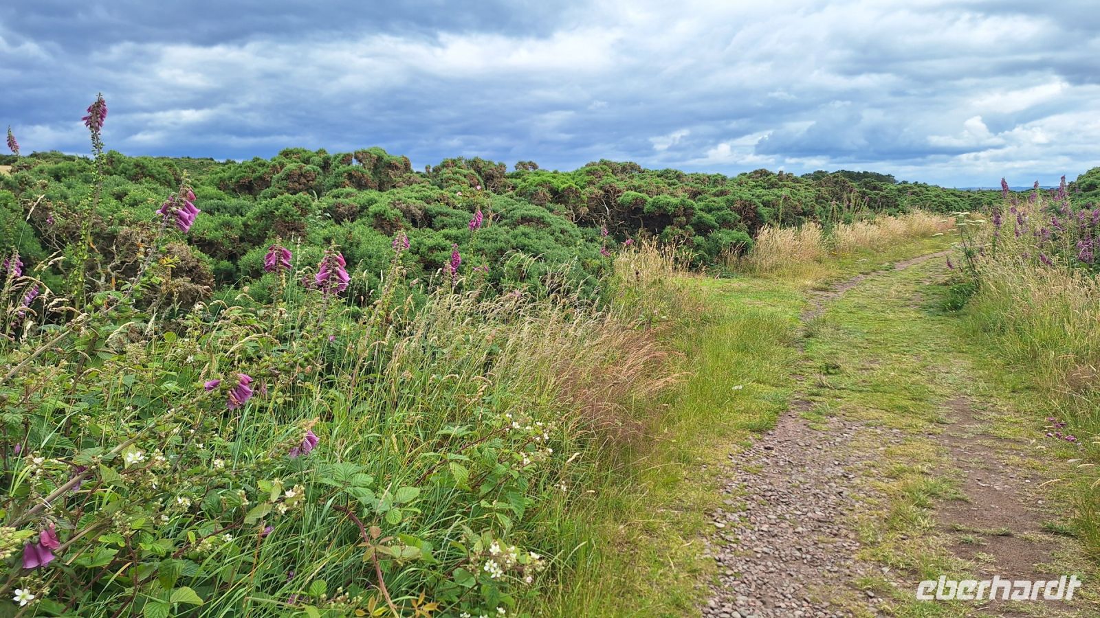 Chanonry Point
