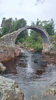 Carrbridge: Old Packhorse Bridge
